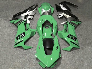 2017-2023 Honda CBR1000RR Motorcycle Fairings - Light Green White Silver Glossy Black DSI