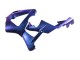 2000-2001 Honda CBR900RR 929 Motorcycle Fairings - Chameleon Blue Purple