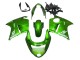 1996-2007 Honda CBR1100XX Blackbird Motorcycle Fairing - Green