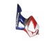 2000-2001 Honda CBR900RR 929 Motorcycle Fairings - Silver Red Blue