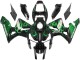 2005-2006 Honda CBR600RR Motorcycle Fairings - Glossy Black Green Flame