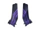 2005-2006 Honda CBR600RR Motorcycle Fairings - Matte Black Purple