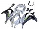 2016-2020 Kawasaki ZX10R Motorcycle Fairing - Silver Green Black