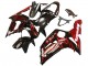 2003-2004 Kawasaki ZX6R Motorcycle Fairings - Glossy Black Red Flame