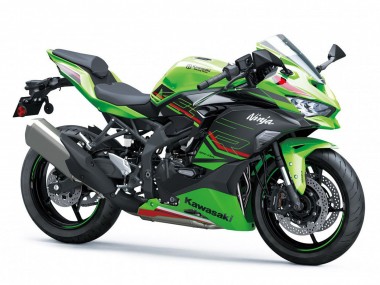 2019-2025 Kawasaki ZX4R ZX-4RR Motorcycle Fairings - Green Black Red White