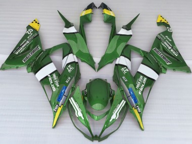 Online 2013-2018 Kawasaki ZX6R Fairings - Green Logo Style